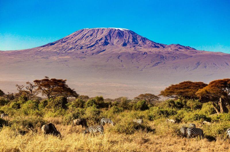 nevadensis_viajes_kilimanjaro